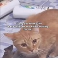 commented item thumbnail