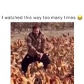 Chick Li and the 480 chickens
