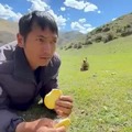 commented item thumbnail