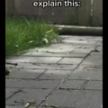 commented item thumbnail