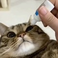 commented item thumbnail