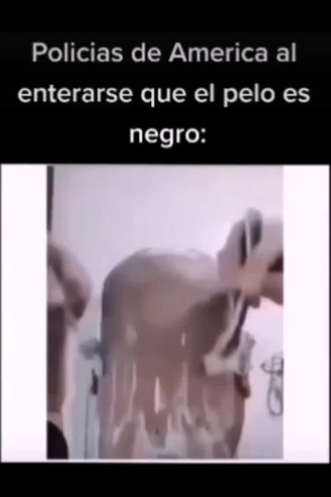 Polic As De Am Rica Al Enterarse Que Su Cabello Es Negro Meme Subido