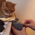 commented item thumbnail