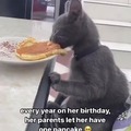 cat eating pancakes for his birthday