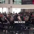 Undocumented guest gringos
