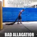 Le Bad alligator