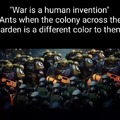 There's currently a world war between two mega colonies of ants