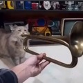 *gato tocando la parte de la trompeta de esa canción de ultrakill*