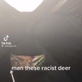 Based deer