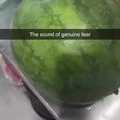 wow soft watermelon