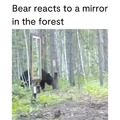 "Oh shit a Bear!!"
