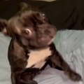 commented item thumbnail
