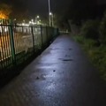commented item thumbnail