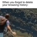 Browsing history