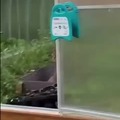 commented item thumbnail