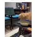 commented item thumbnail