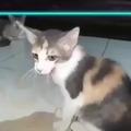 commented item thumbnail