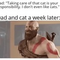 Dad and cat meme