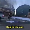 Rescuing a dog from a car on fire