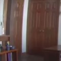oso arrancando una puerta