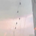Strong storms sent window workers dangling wildly from the China Central Television tower in Beijing.