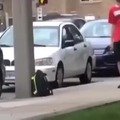 Satisfying thieves getting caught