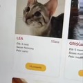 commented item thumbnail