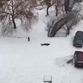 Sacando al perro en un dia de nieve