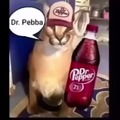 Dr. Pebba