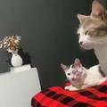 commented item thumbnail