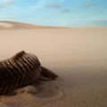 commented item thumbnail
