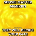 F ( los monos sensei determinaran tu destino)