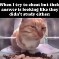 Test cheating meme