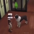 Sims perro truco