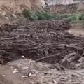 Log river in Utah