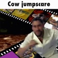Cow jumpscare