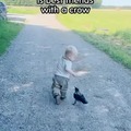 Wholesome frienship between a wild crow and a child
