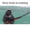 Navy seal- or something, idk i’m from Europe