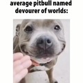 kid named pitbull