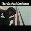 Viva México...ಠಿ⁠_⁠ಠ