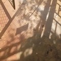 commented item thumbnail