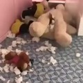 Doggo and teddy bear