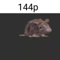 Evolucion de rata girando