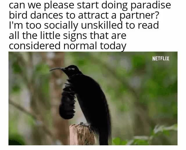 Can we just normalize... - Meme by GTXAlex :) Memedroid
