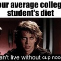 Average college student's diet