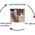 The cycle