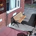 What fucktard lets his fucking pitbull unleashed in his fucking front yard ffs?!