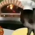 Pizzeria del gatito