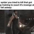 Spider training