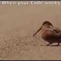 When your Code works
